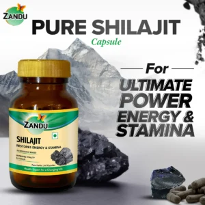 Zandu 100% Pure Himalayan Shilajit Capsules (500mg)